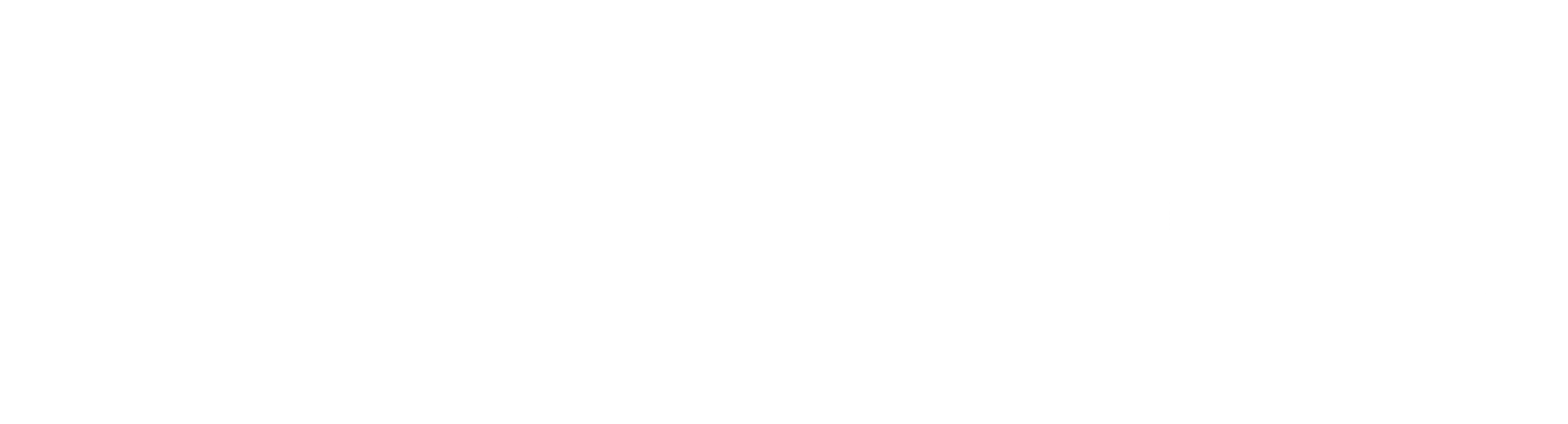 Zayup LLC Logo